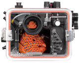 IKELITE Underwater Housing 200DLM/C For Nikon D5500, D5600