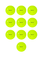 FRANKLIN FS Pro Indoor Pickleballs