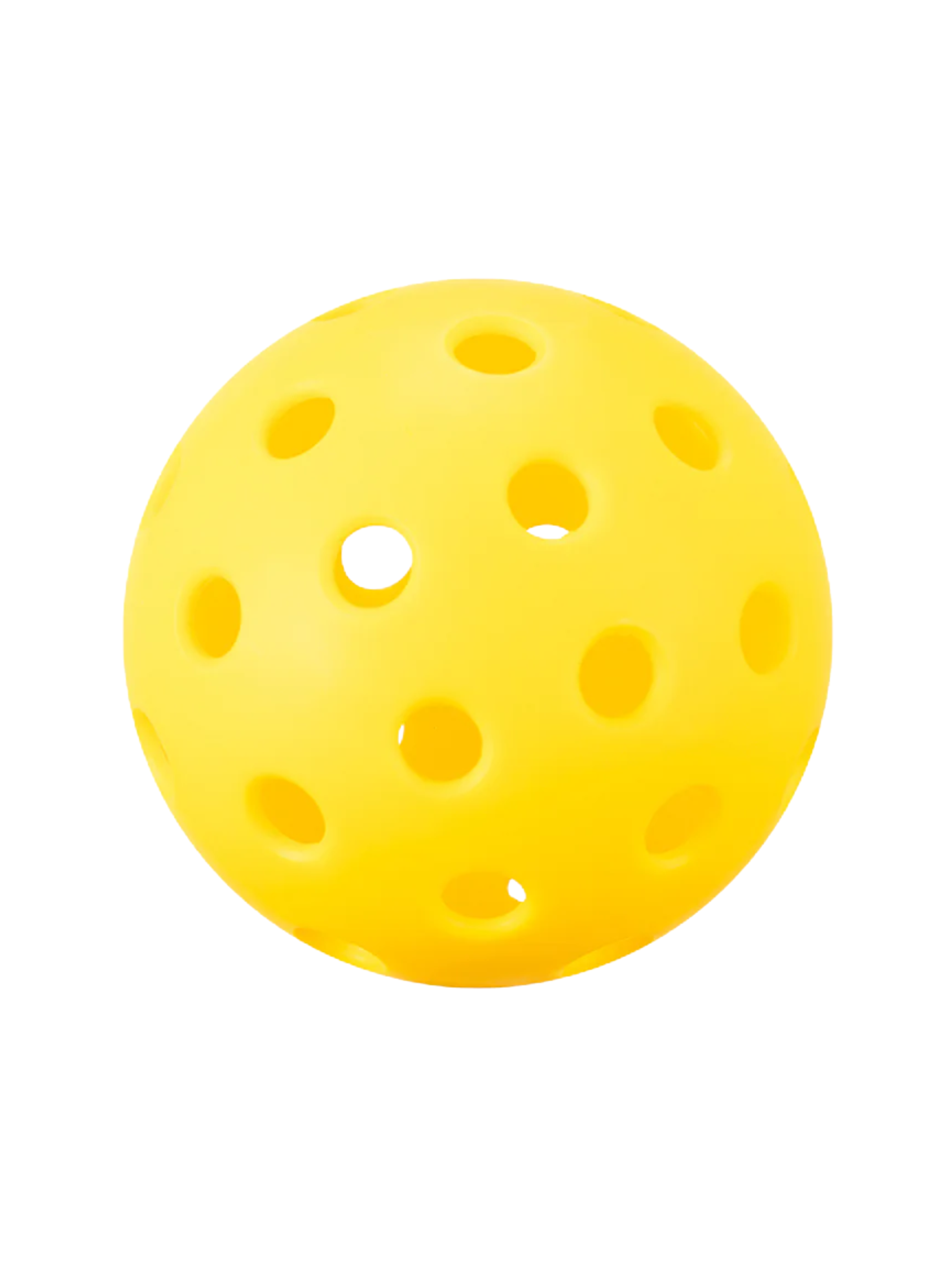 JOOLA Essential Dash Pickleball Pack