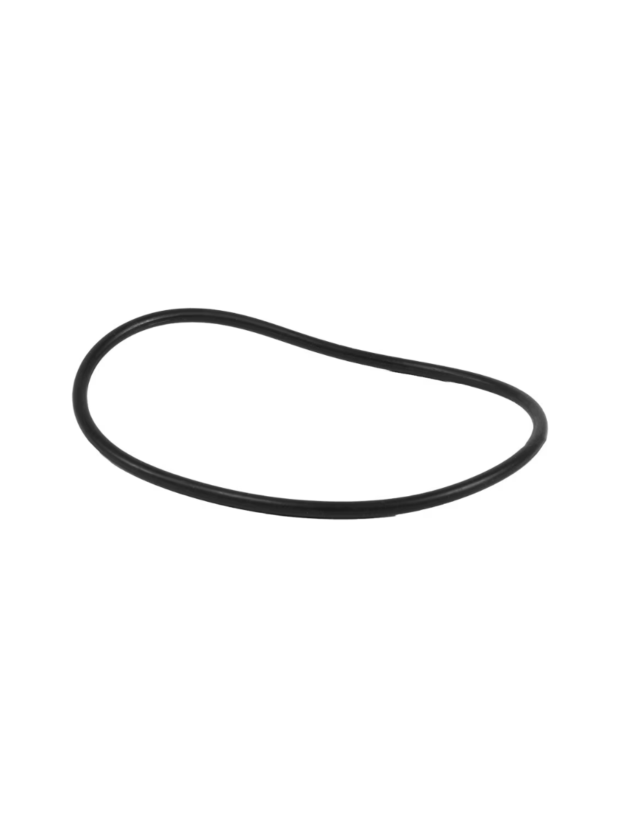 FISHEYE FIX O-Ring for DX Light