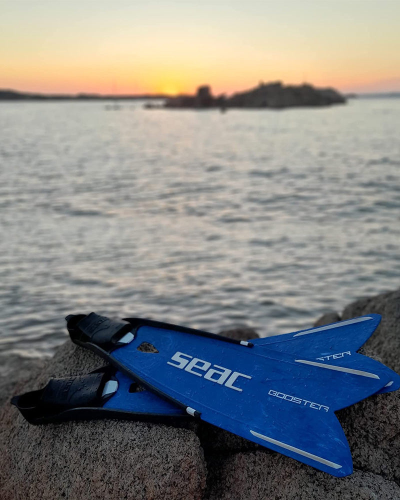 SEAC Booster Fins
