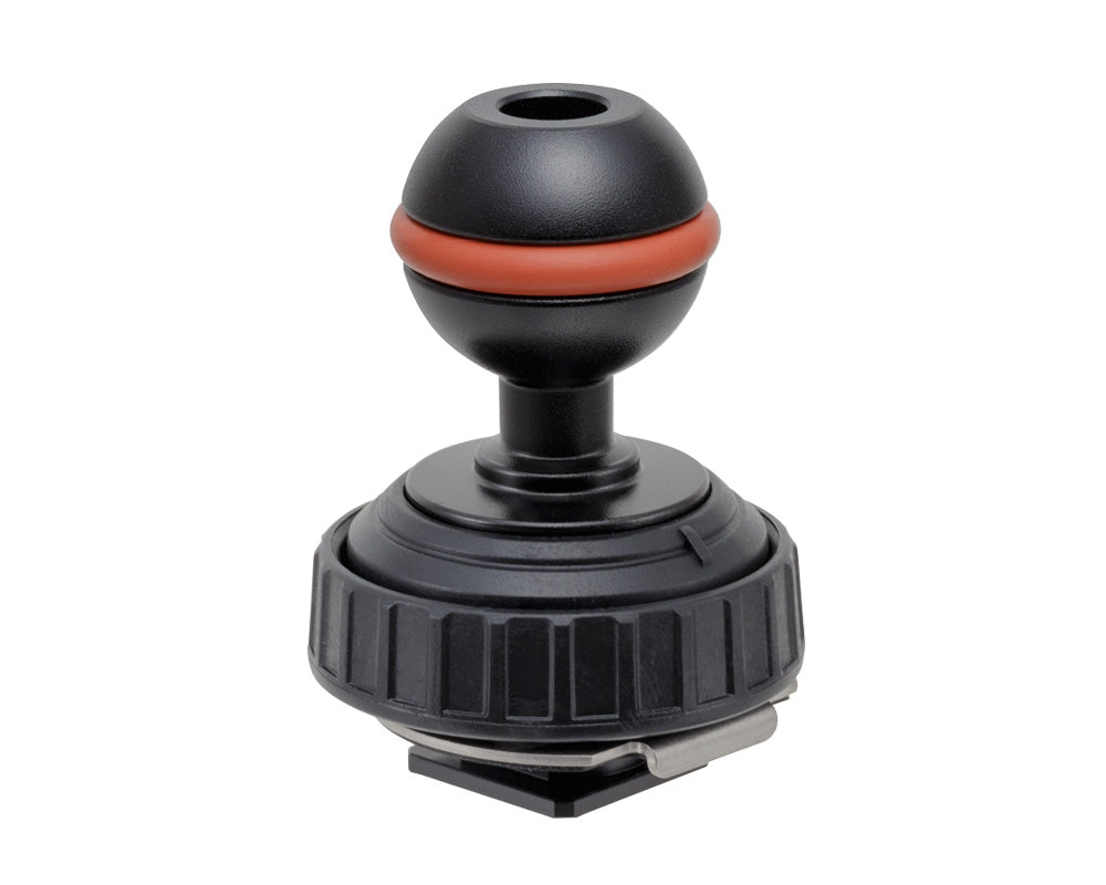 INON Shoe Base Ball