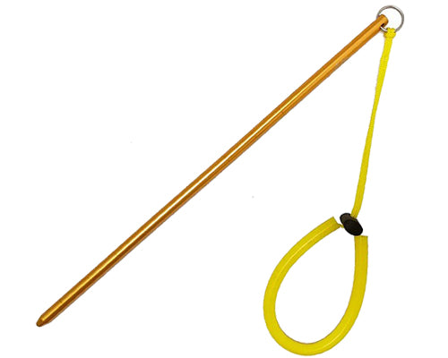 SPLASH Pointer Stick With Measurement