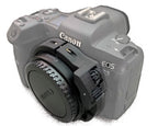 SEACAM Gear For Canon Eos R5
